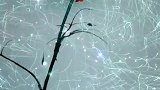 只有内心的风轻云淡，才能治愈光阴里的各种琐碎与慌乱。。。