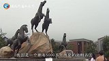 为什么观看兵马俑时一定要小心手机导游掉下去就不是你的了