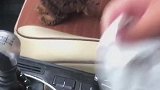 狗我这可是酝酿的好久才想拉的！