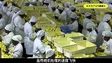 揭秘南非罐头加工厂，用这种方法，制作出美味的葡萄柚罐头