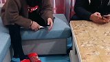 金毛给女主人一个苹果，却给男主人拿了一根“萝卜”，主人要哭了
