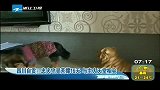 新闻直通车-20120420-四川自贡：忠犬守灵苦撑16天，与主人天堂相会
