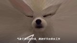 冷空气正在派送 茶陵这次降温能降到几度