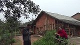 幺妈和幺叔：桂花飘香，摘些熏一瓶桂花酒，挖一窝红嘴芋尝尝鲜
