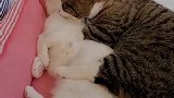 所以女朋友就得找个肉肉的～