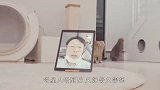 主人和猫咪开视频，喵星人看到后一脸懵，差点笑喷了