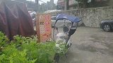 这就是太阳雨吗？狂风骤雨突如其来，雨中有太阳