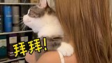 那么到底是我的下午茶 还是土豆的下午茶？？？哈哈哈vlog萌宠日常