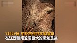 江西发现亚洲首例霸王龙足迹 该恐龙体长可能达7.5米