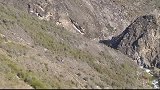新西兰峡谷大秋千，你敢坐吗