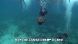 小伙刚下海潜水玩的高兴，就匆忙上岸，这是为何？