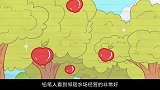 铅笔人夜袭农场，不料闯进鸡舍，被公鸡痛打一顿，实在太惨了