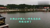 水库边有大水车，北海合浦山口镇又一村生态农庄，环境太好了。
