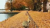 我在远方，有很多的岁月，时常会想起