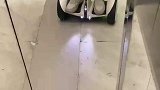 男生在电梯里玩平衡车，结果刚出电梯门就摔倒了