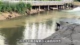 湖南一河里有人捞钱？附近商户：夫妻吵架后把钱扔河里了