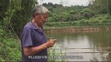 男子钓107斤青鱼，被人高价买走，只为鱼嘴里的那颗宝石！