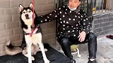 二哈：是这根绳子救了你