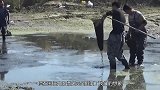 想吃鱼要去河里捞？泰国人想吃鱼却从地下挖！第一次见不敢信
