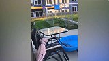 日常搞笑作死视频，让你嘚瑟，老实了吧