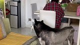 心有灵犀一点通！感谢它给我找回了一点男人的尊严