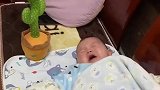 宝宝要是还哭，我就拿仙人掌气你