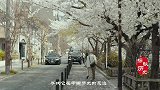 此物被日本视为国宝，天皇都不敢随意用，千年前隋炀帝却成批烧掉