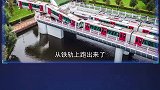 5件罕见的事儿