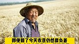 经济学专家王福重说，粮食和农民无关，是土地长出来的王福重