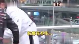 小猪黄渤相遇非常激动，结果两只狗狗更加激动，太搞笑了！