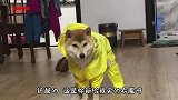我就想问问卖家 你这是让我用鞋带勒秋裤吗