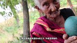 树洞出现神秘橙色蛋，小伙不慎打破一颗，当场懊悔不已