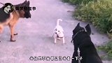 搞笑视频：怎么这么没素质呢，垃圾怎么能乱扔呢