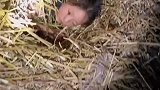 萌娃玩捉迷藏在草堆里睡着了，和街坊邻居一起找了俩小时，她甚至备了吃的