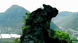 贵州大山里，一匹山体“战狼”被发现，价值无法估量！
