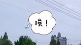 住不住得下你，是你的体重；能不能让你住下，是你的本事。