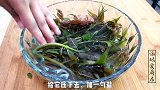 香椿炒鸡蛋要不要焯水，教你正确做法，香椿鲜香，比肉好吃