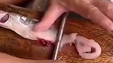 这一招鱼肉分离，你学会了吗