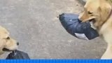 生活不易，要取快递