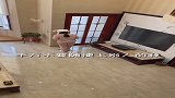 想知道你的体重很简单，一直告诉我自己90多斤