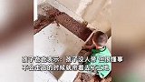 单亲爸爸带7岁儿子在工地干活，孩子动作娴熟帮父亲打下手：再苦再累都心甘情愿