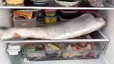 冷的打摆子了
