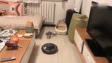 猫咪和扫地机器人的较量，全程爆笑不断