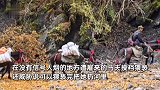 户外博主称高原徒步遭马夫猥亵，幸遇有人路过才挣脱：已报警