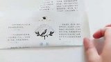 火遍全网的太乙飞猪教程来啦，你学会了吗