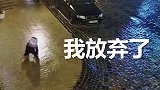 太惨！乌克兰女孩在冰面上行走 几分钟摔倒数十次仍留在原地