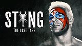 斯汀《消失的影像》纪录片：WCW传奇名宿魔蝎大帝跨界WWE（原声中字）