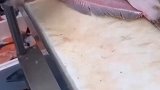 剔鱼肉剔起来真舒服，一点都没有浪费，简单几步你学会了嘛？
