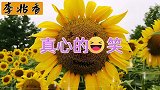 真心的笑，是独自一个人的笑