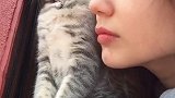 窗台上，长出两只“猫咪”，你觉得那一只会更凶一些